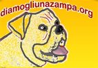 Adotta una cane