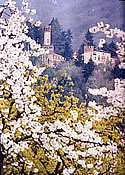 Castello del Roccolo
