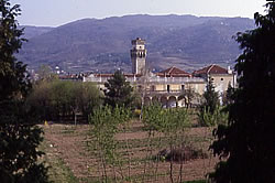 Villa Elisa