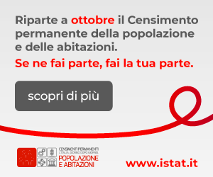 Censimento Istat