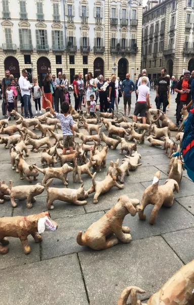 Il flash mob del “The Dog Project” di Tom Campbell sabato scorso nel centro di Torino