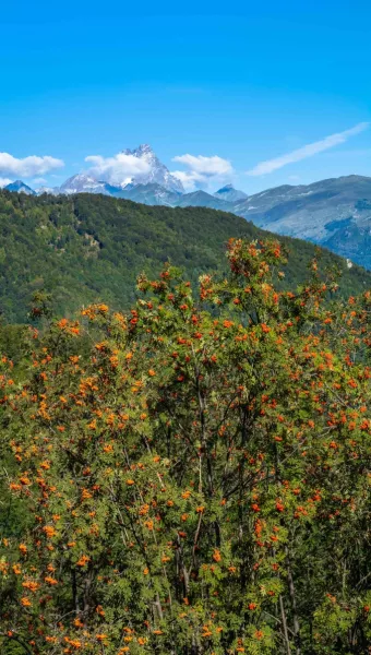 Panorama con Monviso da Valmala: mentre in collina tornano gli splendidi colori dell'autunno, al mattino e alla sera le temperature sono in rapida discesa