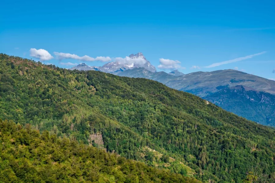  E' nata un'associazione tra enti pubblici e imprenditori privati della valle per valorizzare e gestire i territori boschivi montani