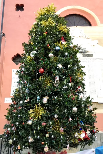 L'alberto di Natale allestito da Assoimprese  in piazza della Rossa. L'associazione aveva proposto in novembre la nuova idea “Tutti insieme per fare un bellissimo albero