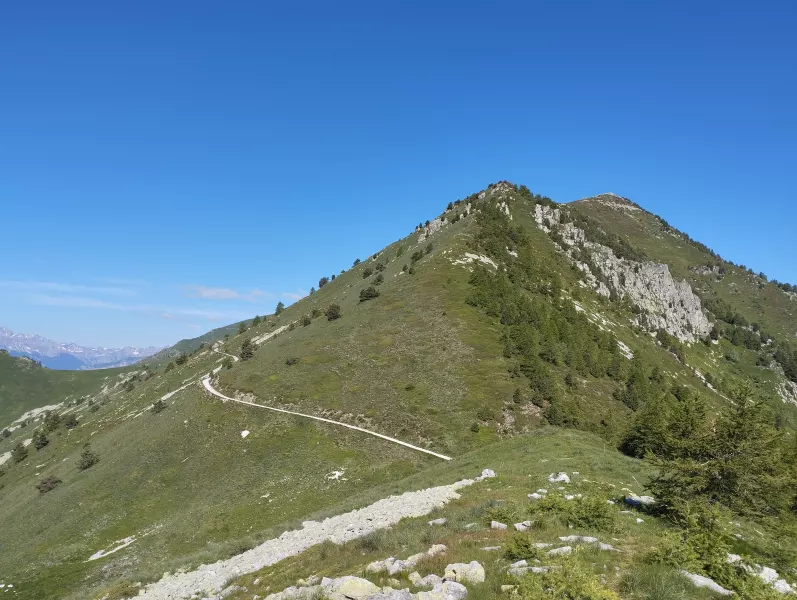 I volontari e gli studenti del corso di Scuola di Italiano per Stranieri dell'anno scolastico appena concluso