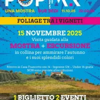 Foliage tra i vigneti