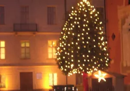 L'albero e la capanna, in piazza della Rossa, di fronte al Palazzo della Musica