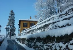 La neve (2)