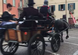 Busca si rievoca 2016