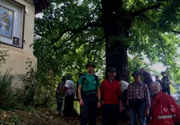 Passeggiata sui sentieri collinari