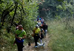 Passeggiata sui sentieri collinari