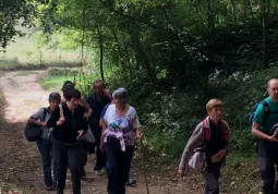 Passeggiata sui sentieri collinari