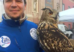 Mercatino di Natale 2016