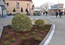 Nuova piazza Regina Margheita