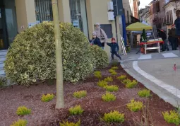 Nuova piazza Regina Margheita