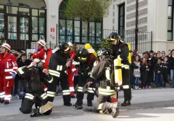 Prove di evacuazione in situazione di emergenza. Attivazione del C.O.C. - 1 