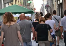 Musicando&MirabiliaFestival - Busca Buskers (4)