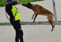  AAA Piccoli volontari cercansi 2018 - Soccorso ambienti impervi - 2