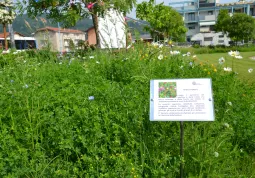 Inaugurazione Giardino dell'Infinito