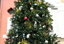 L'alberto di Natale allestito da Assoimprese  in piazza della Rossa. L'associazione aveva proposto in novembre la nuova idea “Tutti insieme per fare un bellissimo albero