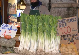 Mercatino di Natale e Il villaggio degli Elfi di Babbo Natale