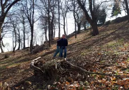 Forestali della Regione al lavoro in città