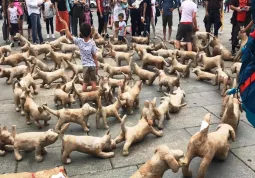 Il flash mob del “The Dog Project” di Tom Campbell sabato scorso nel centro di Torino