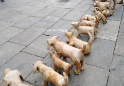 Il cani di cartapesta costruiti a Busca e a Fossano qui in piazza Castello a Torino