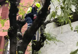 Protezione Civile al lavoro oggi nei parchi