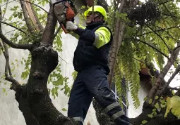 Protezione Civile al lavoro oggi nei parchi