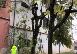 Protezione Civile al lavoro oggi nei parchi