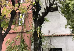 Protezione Civile al lavoro oggi nei parchi