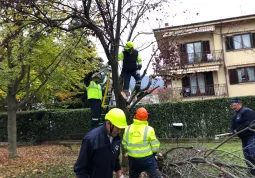 Protezione Civile al lavoro oggi nei parchi