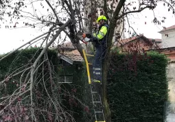 Protezione Civile al lavoro oggi nei parchi