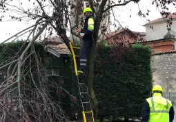 Protezione Civile al lavoro oggi nei parchi