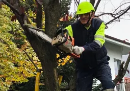 Protezione Civile al lavoro oggi nei parchi