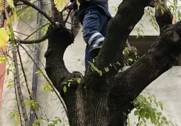 Protezione Civile al lavoro oggi nei parchi