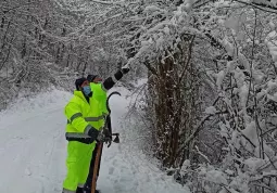 I volontari della Protezione civile comunale sono  intervenuti sulle strade collinari per rimuovere rami piegati e spezzati dalla neve