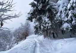 Neve a Valmala e collina buschese