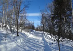 Neve a Valmala e collina buschese