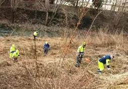 Pulizia sponde Maira da parte della Protezione civile comunale