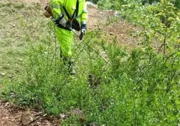 Lavori di primavera della Protezione civile comunale