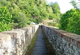 Lavori di primavera della Protezione civile comunale