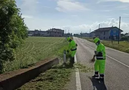 Lavori di primavera della Protezione civile comunale