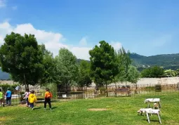 Lezioni all'aperto nel parco dell'ingegno