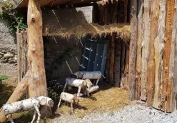 Lezioni all'aperto nel parco dell'ingegno