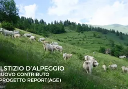 buscareportage.it è un sito di video, foto e testi per un nuovo approccio di promozione del territorio, ora anche in Facebook con Fan’s Reportage