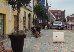 Il restyling di piazza Savoia si completa con i grandi vasi sul lato edifici 