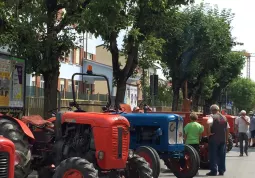 Fiera di luglio