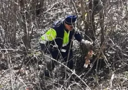 Raccolta rifiuti per le strade - Volontari Protezione civile comunale